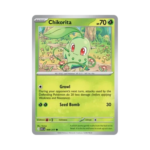 포켓몬 TCG 치코리타 C 메가 에볼루션 어센드 히어로즈 (영문판)