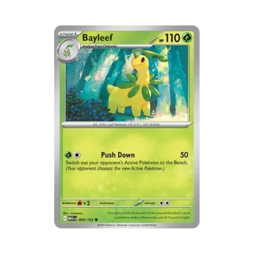 Pokemon TCG Bayleef C Mega Evolution (English Ver.)