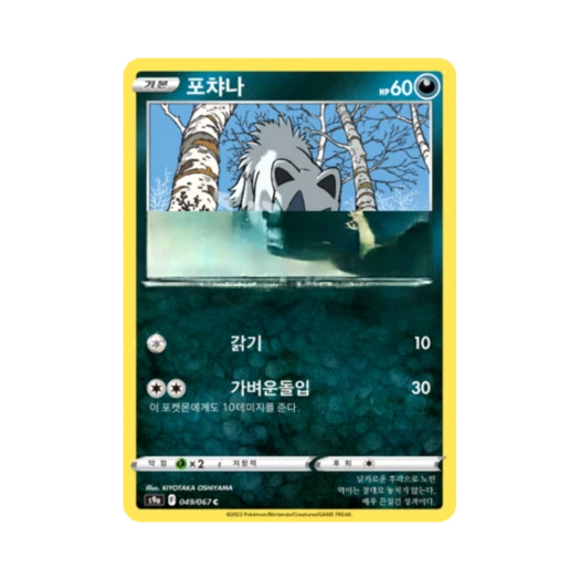 Pokemon TCG Poochyena C Battle Region (Korean Ver.)