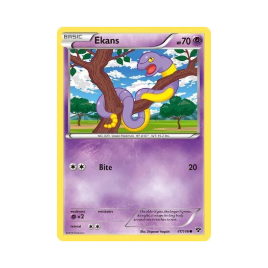 포켓몬 TCG 아보 C XY (영문판)
