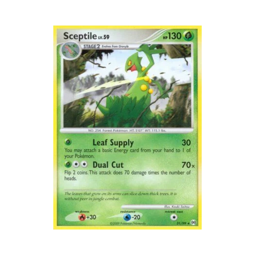 포켓몬 TCG 나무킹 R 아르세우스 (영문판)