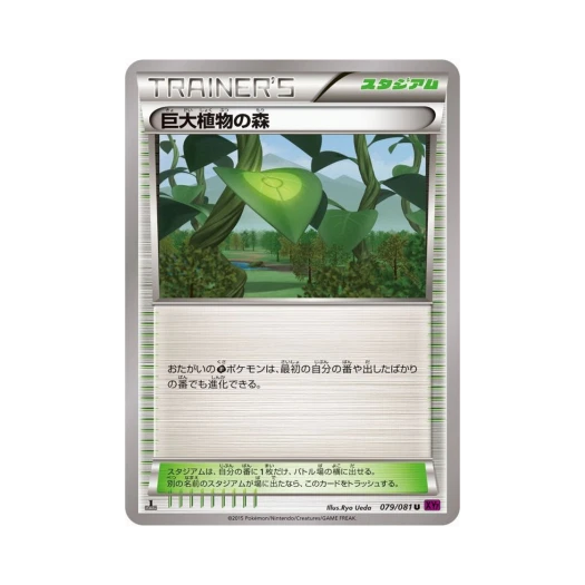 포켓몬 TCG 거대식물의 숲 U 밴디드링 퍼스트 에디션 (일어판)