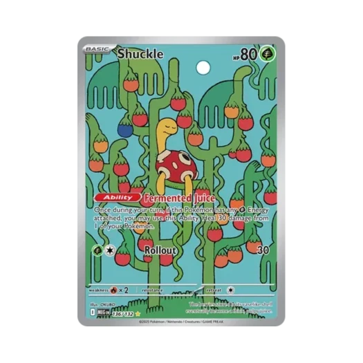 Pokemon TCG Shuckle IR Mega Evolution (English Ver.)