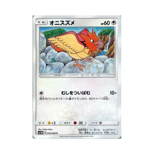 포켓몬 TCG 깨비참 C 문 컬렉션 (일어판)