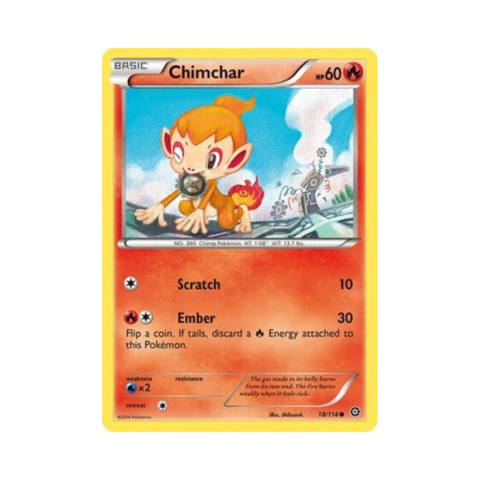 포켓몬 TCG 불꽃숭이 C 스팀 시즈 (영문판)