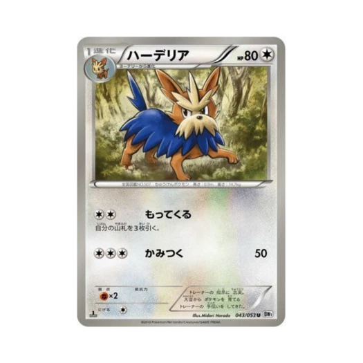 포켓몬 TCG 하데리어 U 화이트 컬렉션 퍼스트 에디션 (일어판)