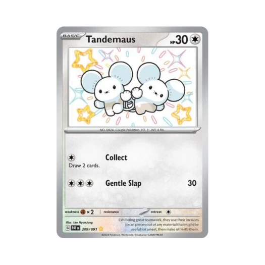 포켓몬 TCG 두리쥐 SR 팔데아 페이트 (영문판)
