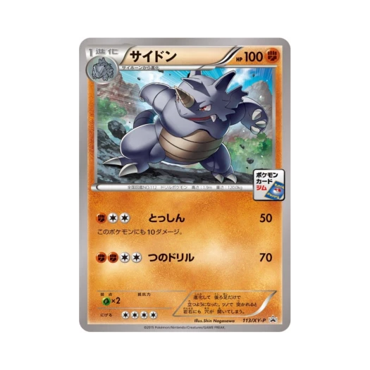 포켓몬 TCG 코뿌리 P XY 프로모 카드 (일어판)