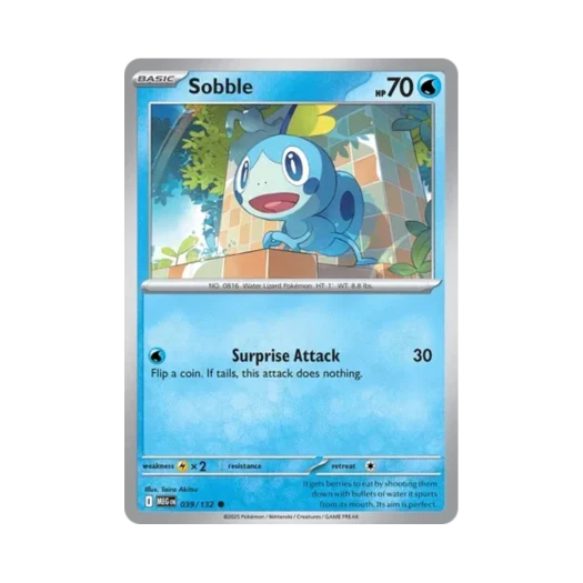 포켓몬 TCG 울머기 C 메가 에볼루션 (영문판) 카드 이미지