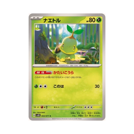 Pokemon TCG Turtwig C Wild Force (Japanese Ver.)